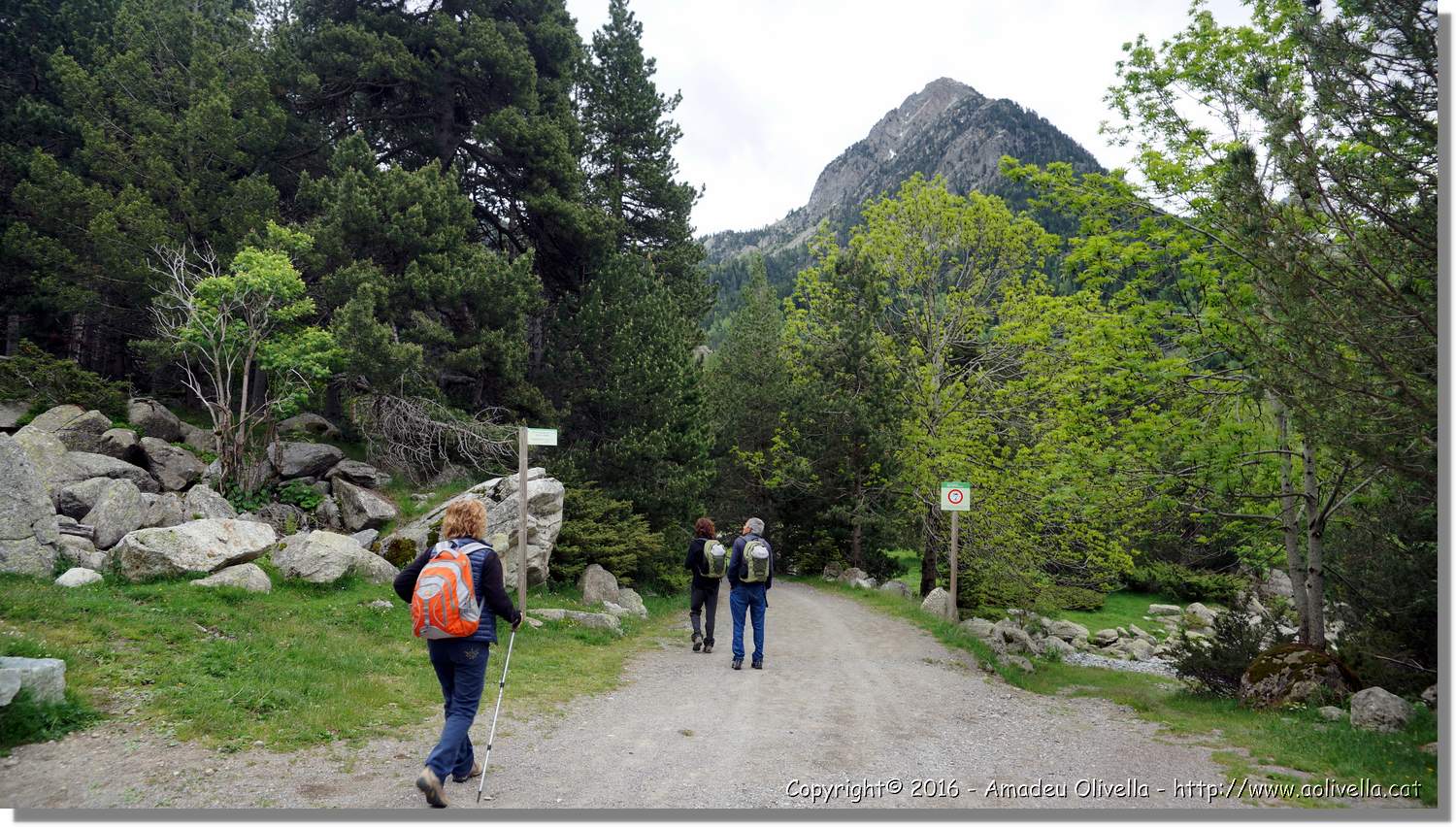 Aigüestortes_002.jpg