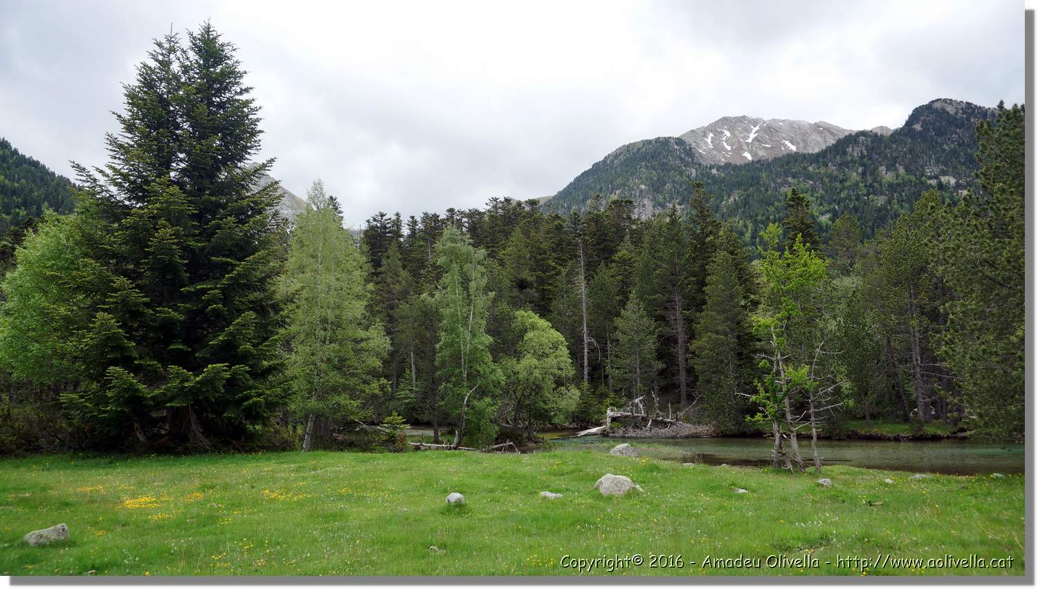 Aigüestortes_003.jpg