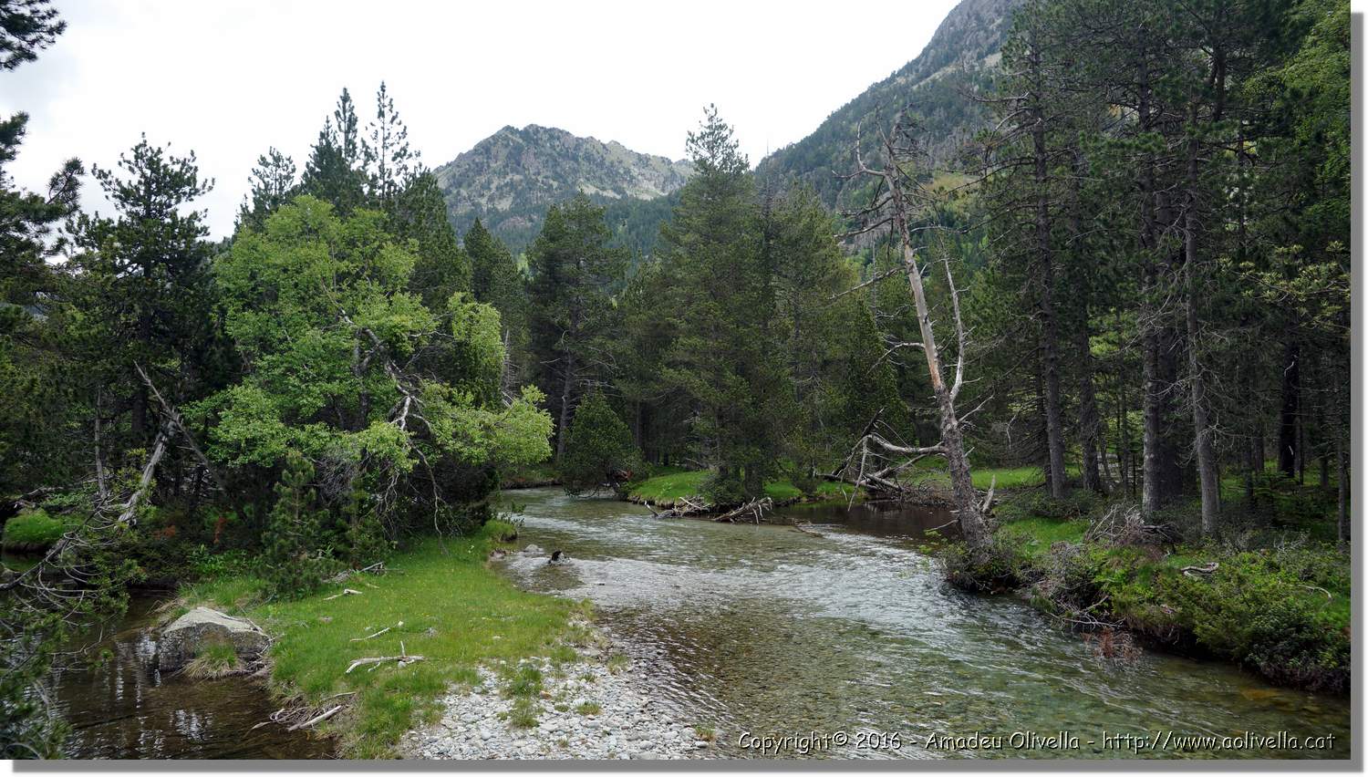 Aigüestortes_007.jpg