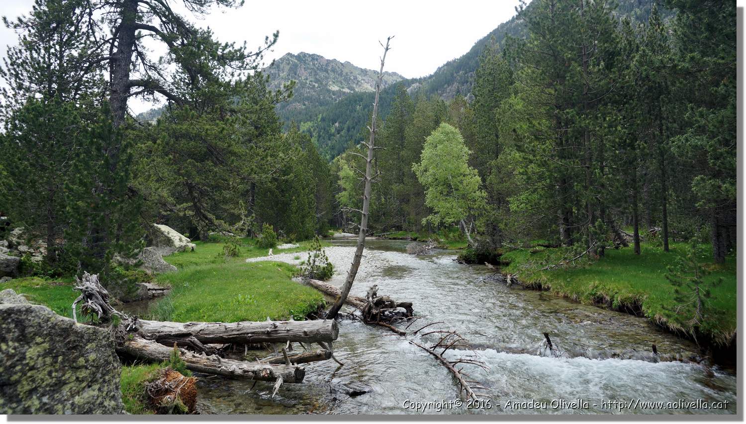Aigüestortes_008.jpg