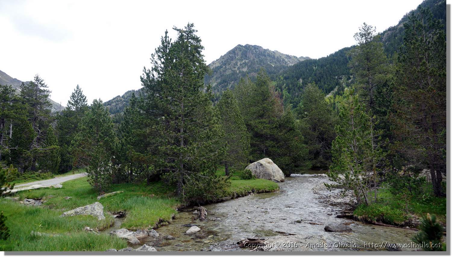 Aigüestortes_010.jpg