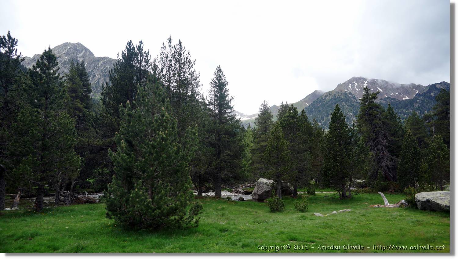 Aigüestortes_011.jpg