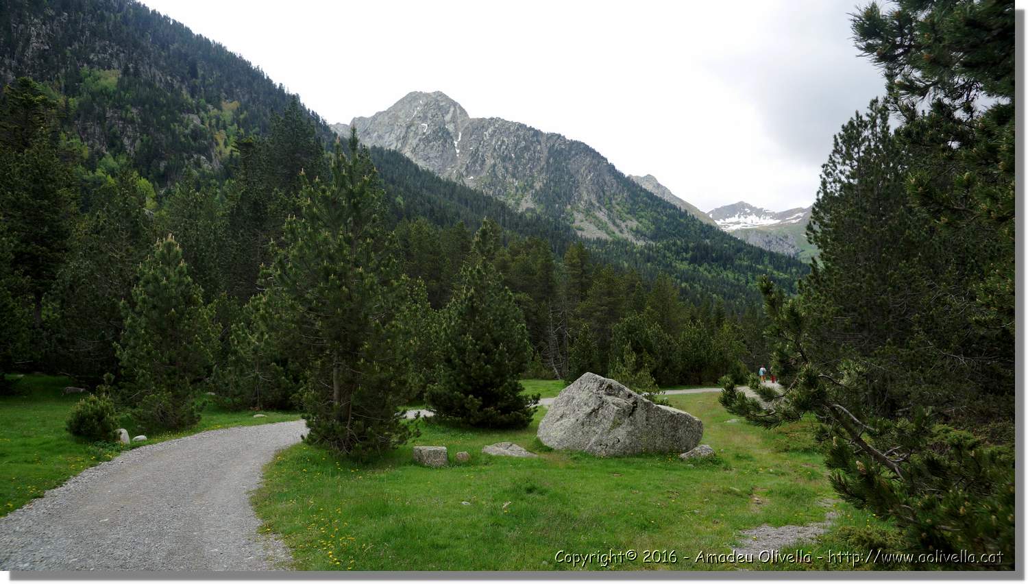 Aigüestortes_012.jpg