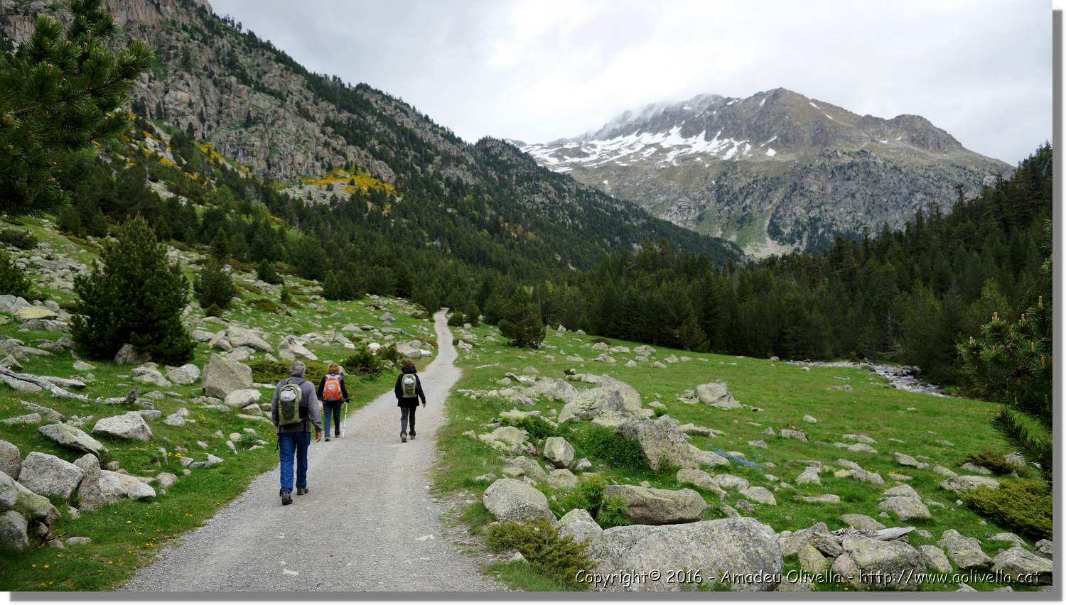 Aigüestortes_016.jpg