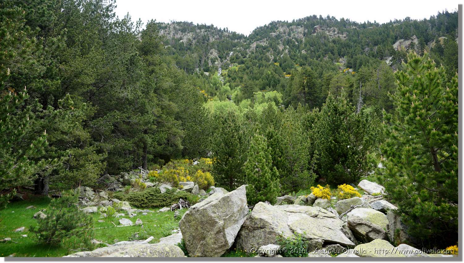 Aigüestortes_020.jpg