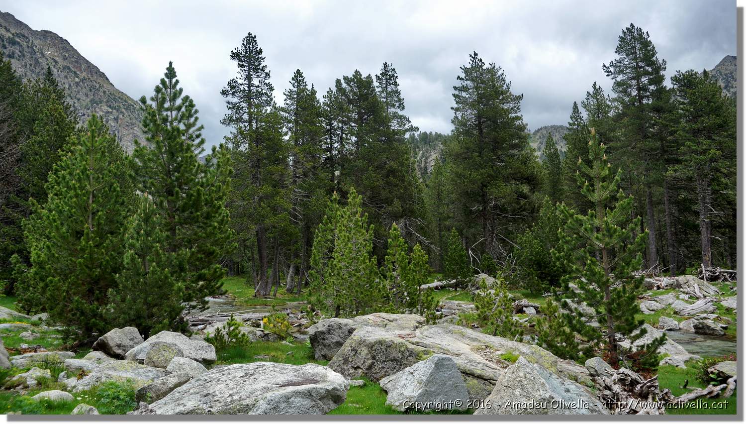 Aigüestortes_021.jpg