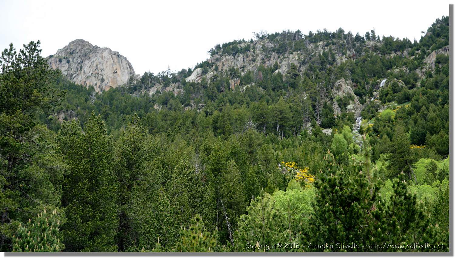 Aigüestortes_022.jpg