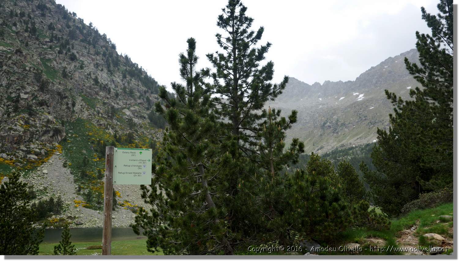 Aigüestortes_037.jpg