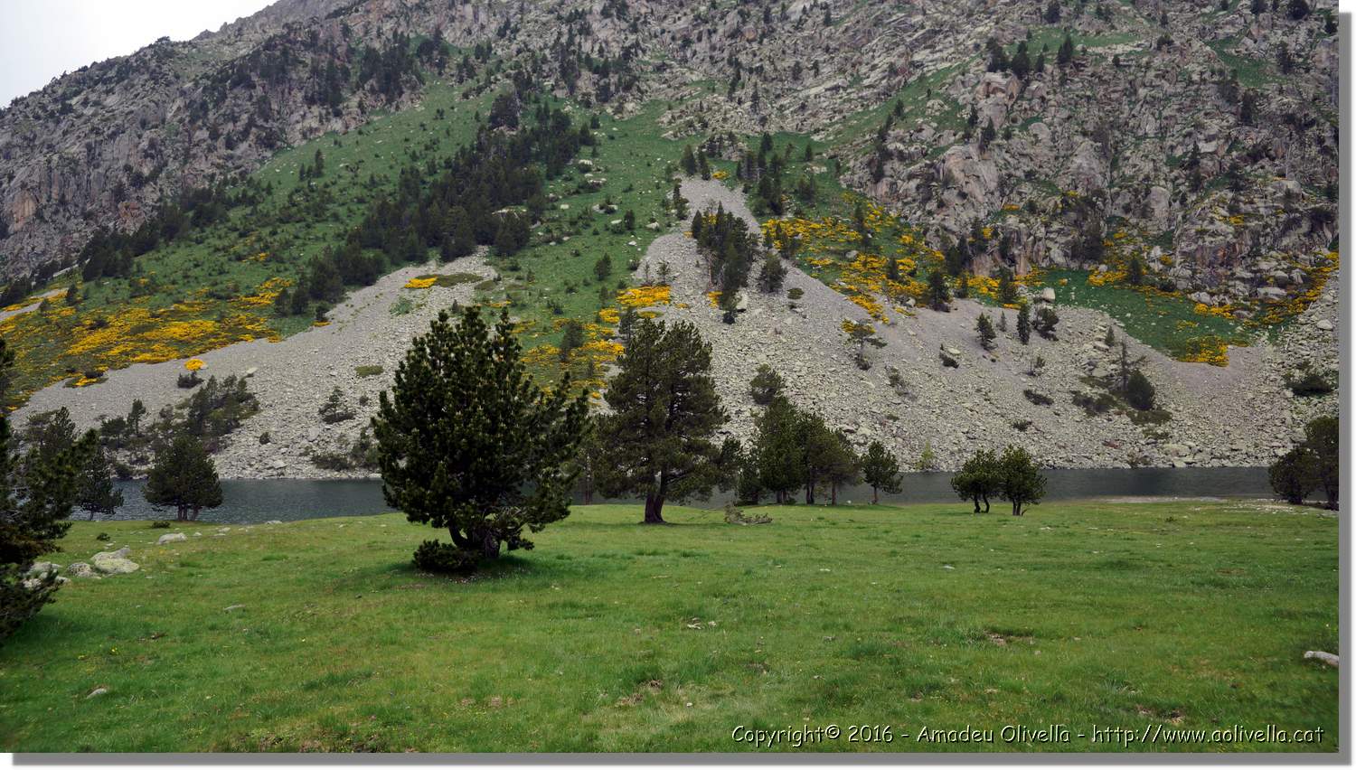 Aigüestortes_045.jpg