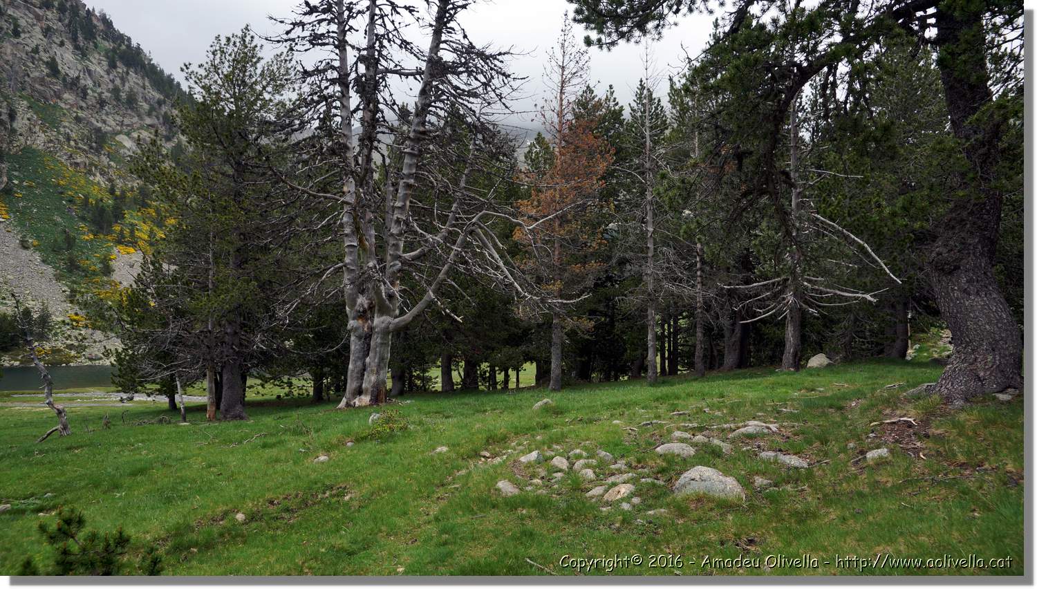Aigüestortes_047.jpg