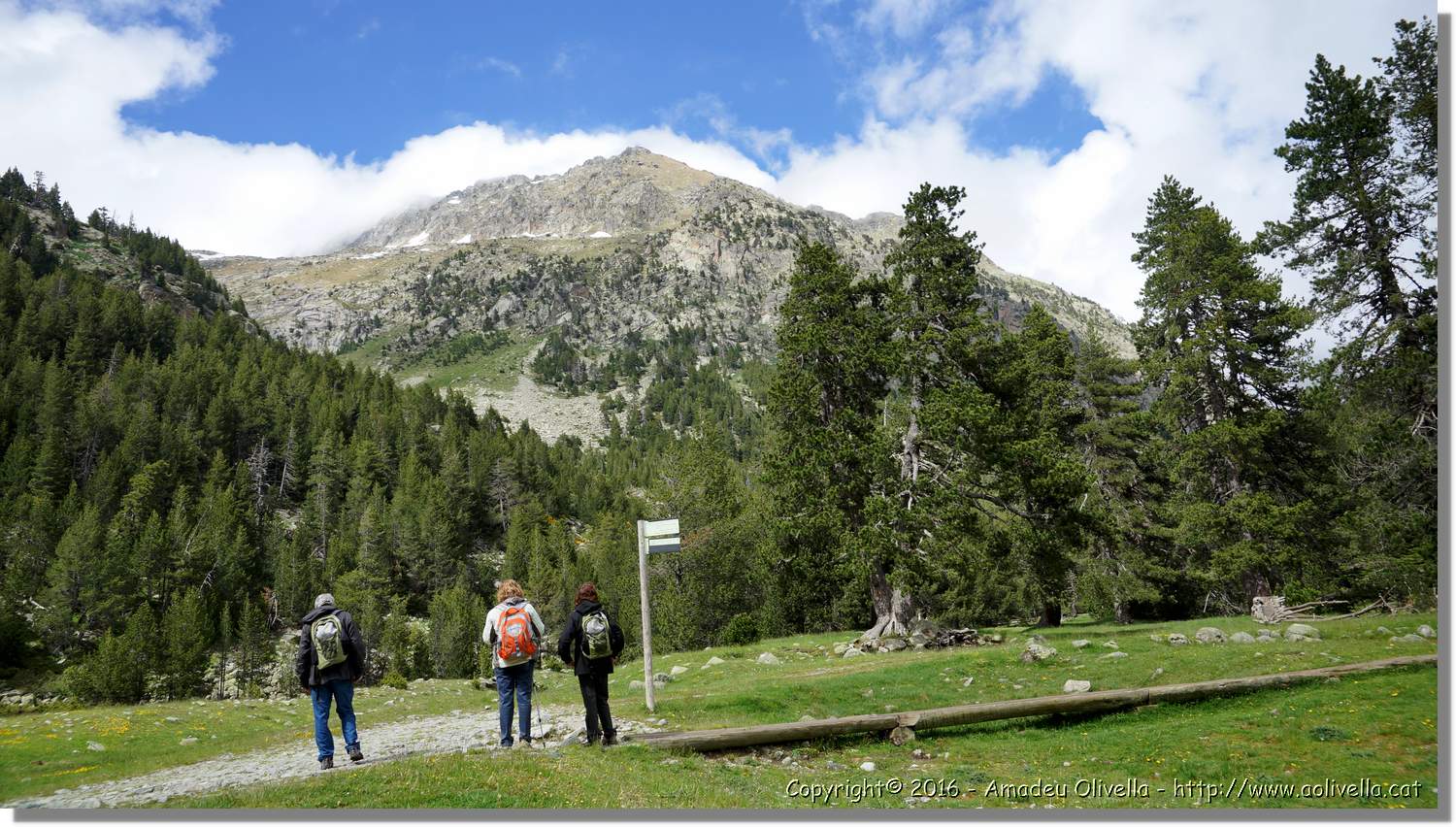 Aigüestortes_058.jpg