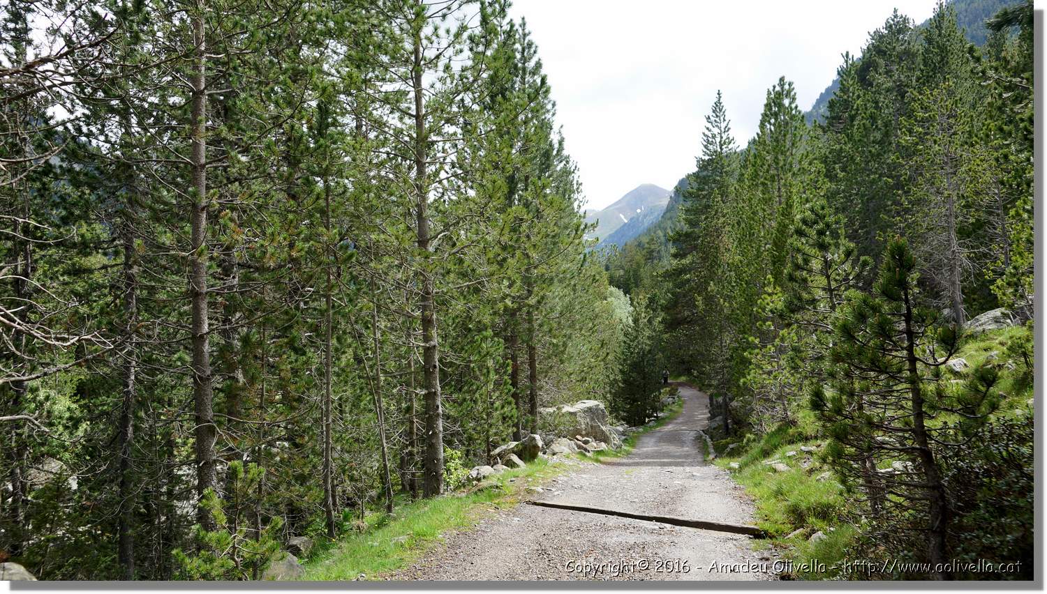 Aigüestortes_062.jpg