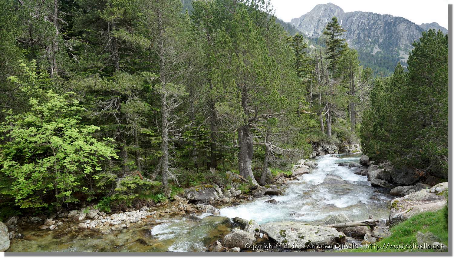 Aigüestortes_069.jpg