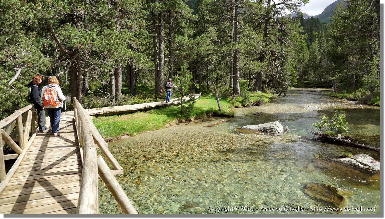 Aigüestortes_072.jpg