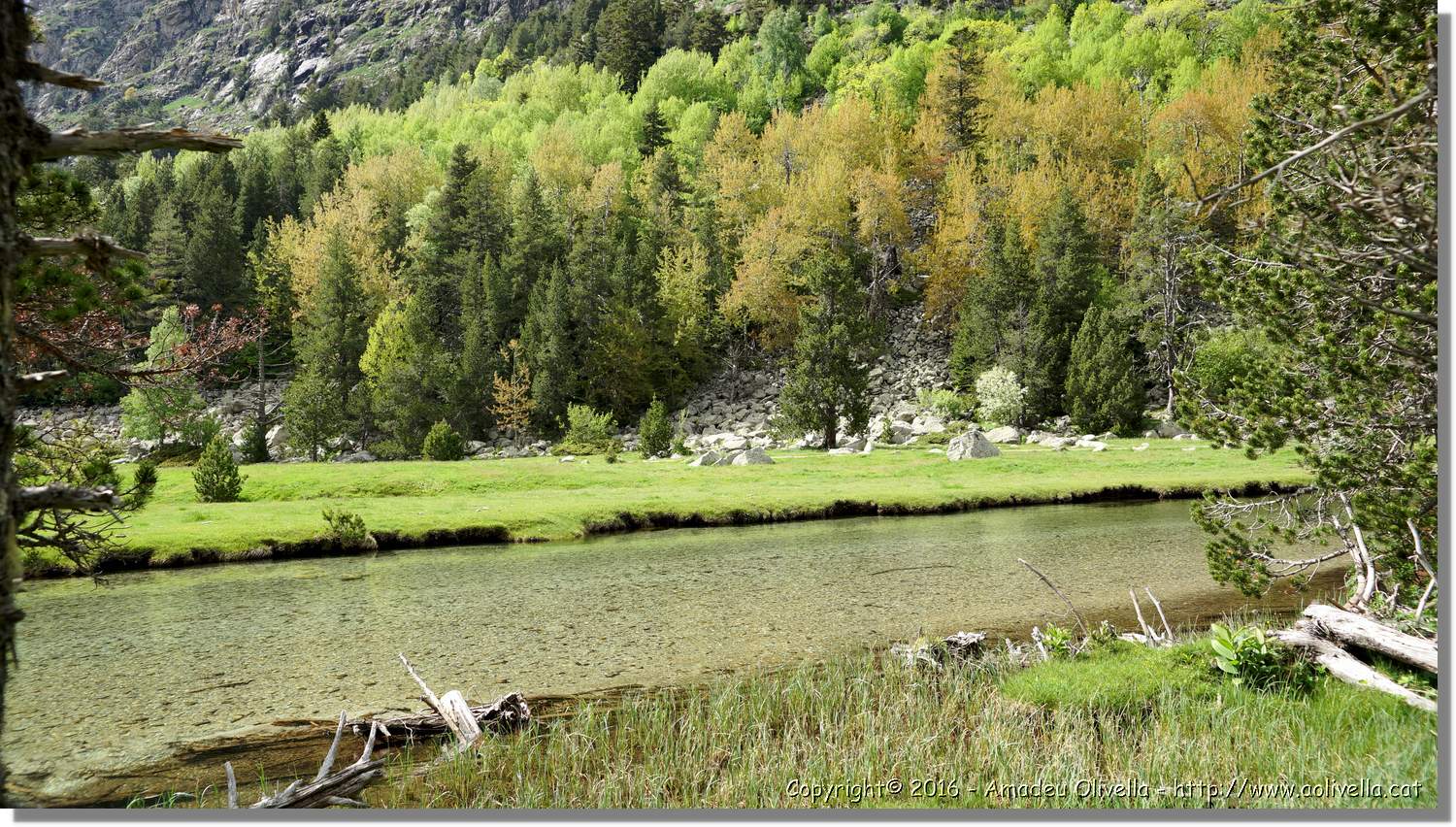 Aigüestortes_084.jpg