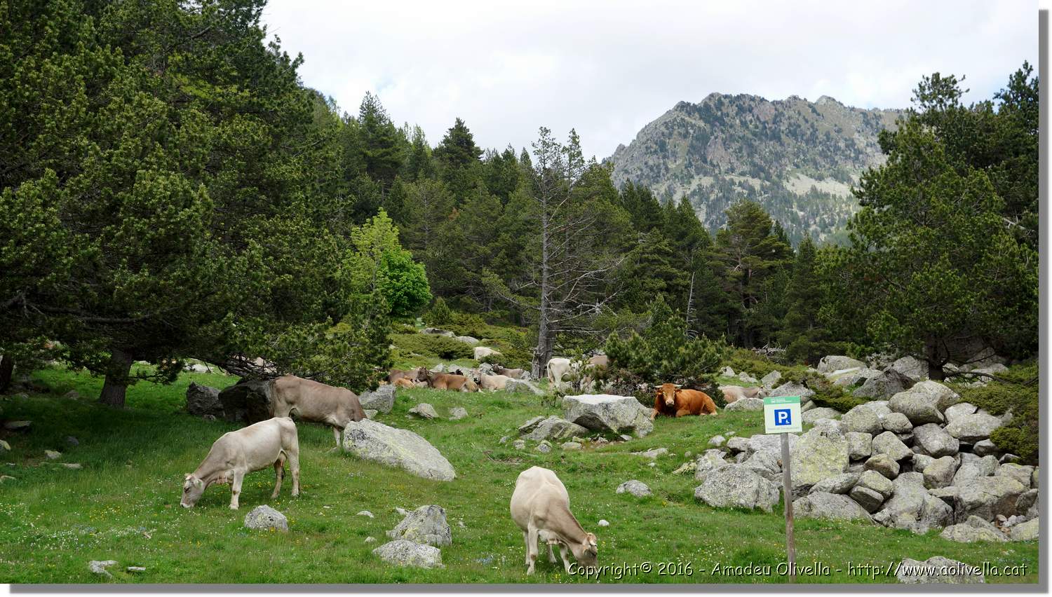 Aigüestortes_109.jpg