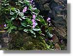 4-Vall-Boí_089.jpg