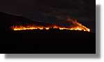 Falles_013.jpg
