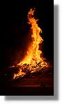 Falles_079.jpg