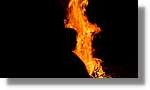 Falles_085.jpg