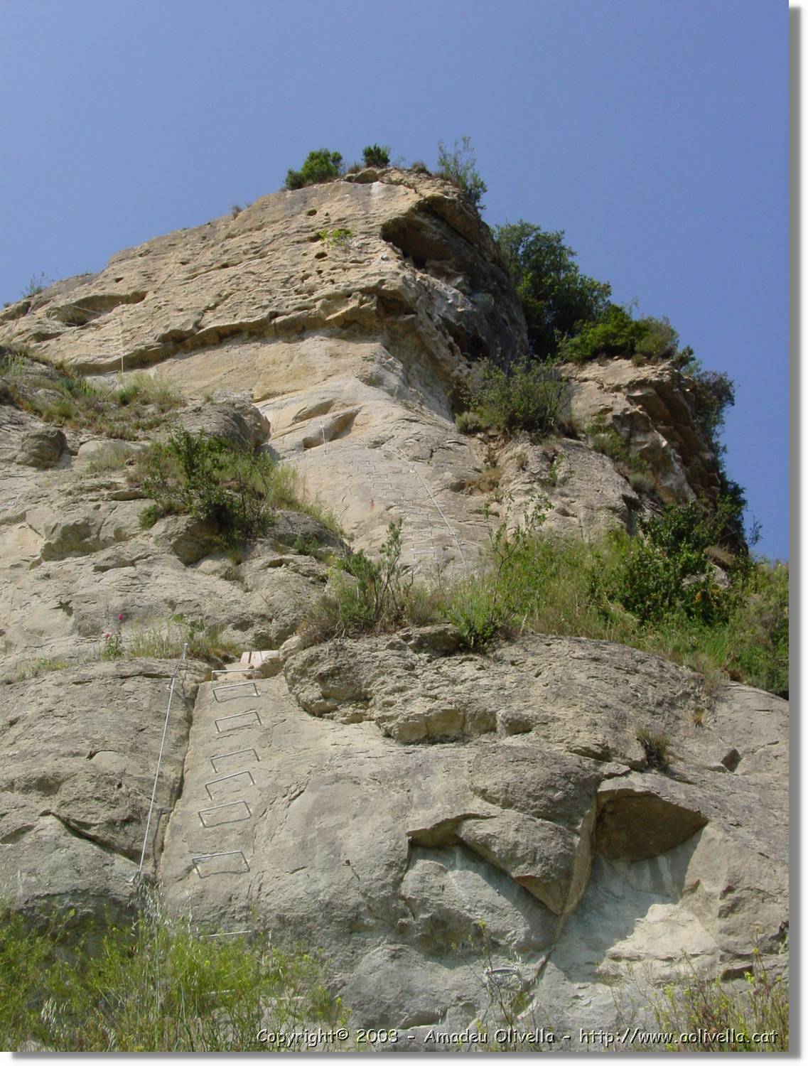 osona_008.jpg