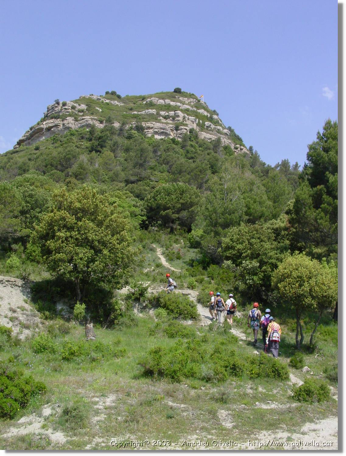 osona_059.jpg