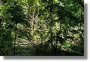 Bufadors_086.jpg