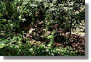 Bufadors_089.jpg