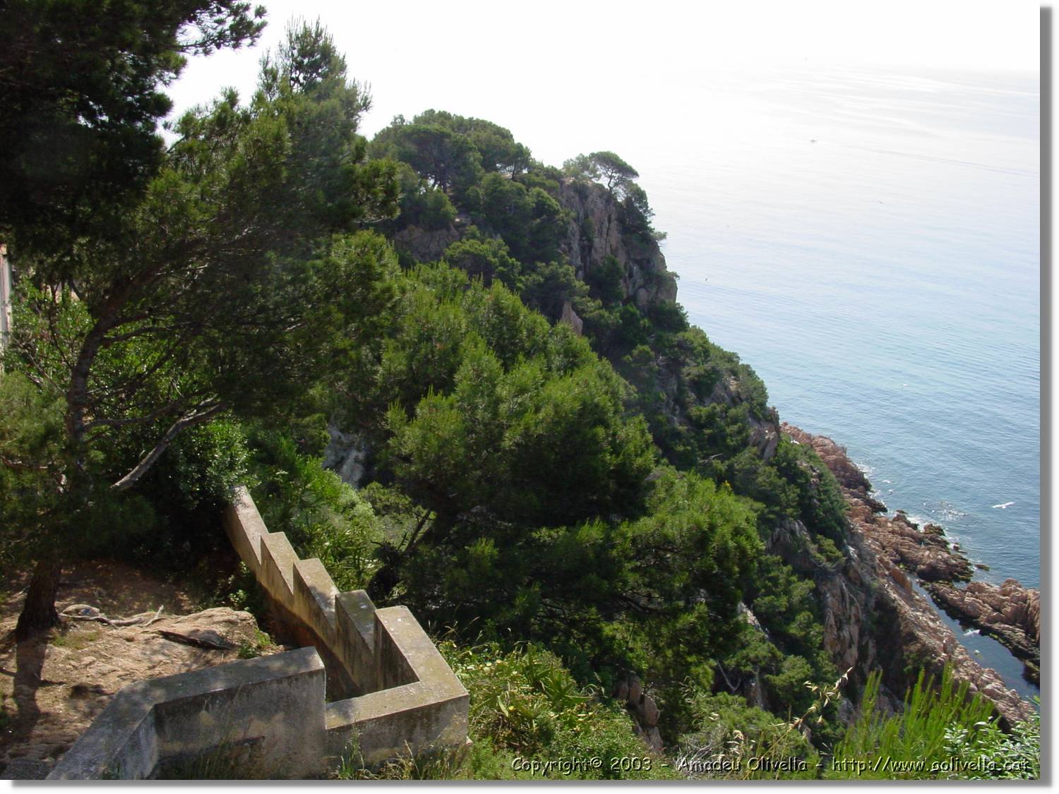 cala_002.jpg
