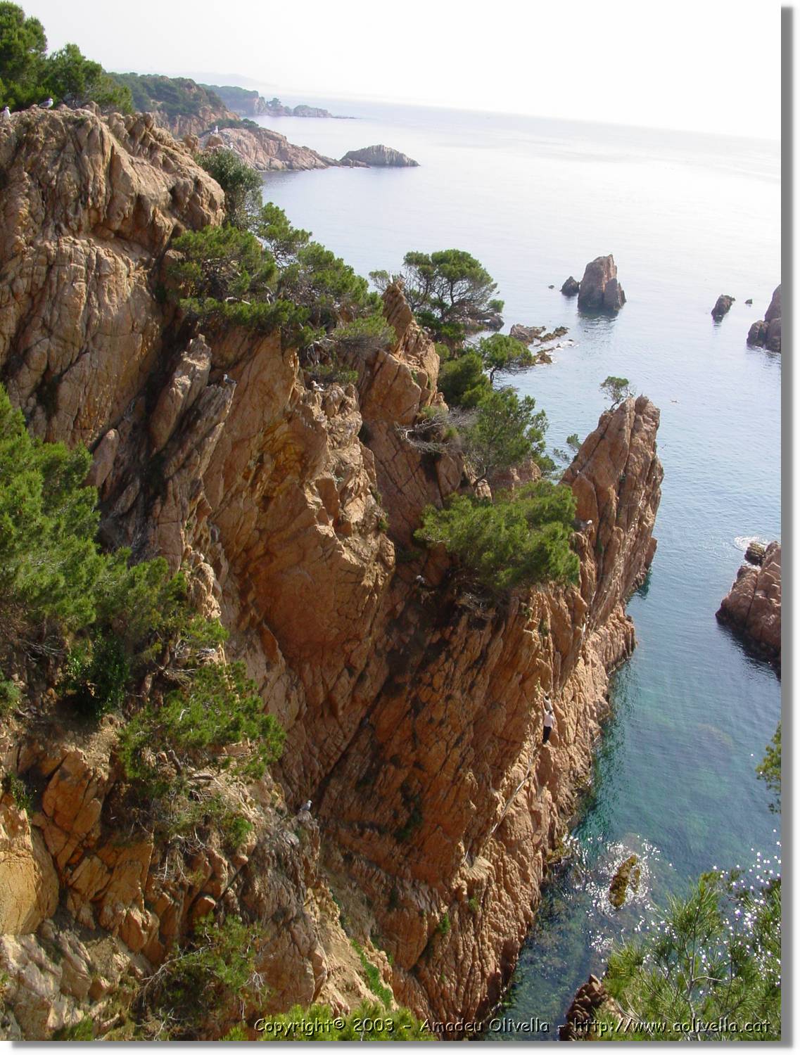 cala_006.jpg