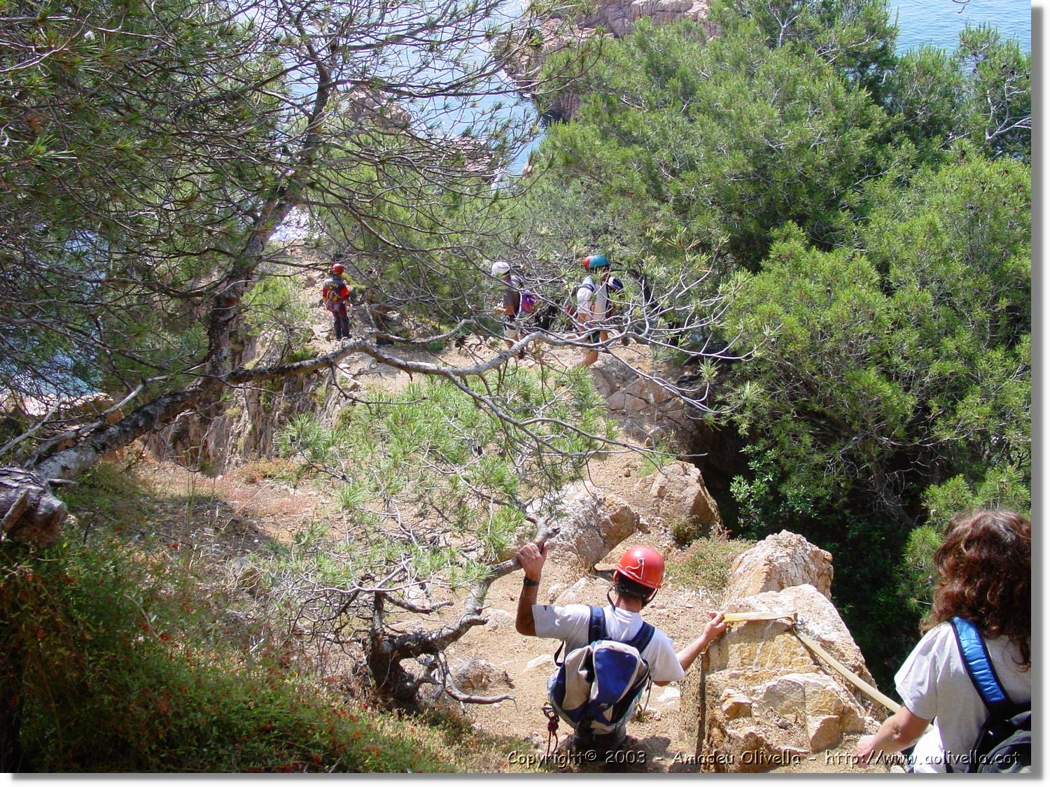 cala_007.jpg