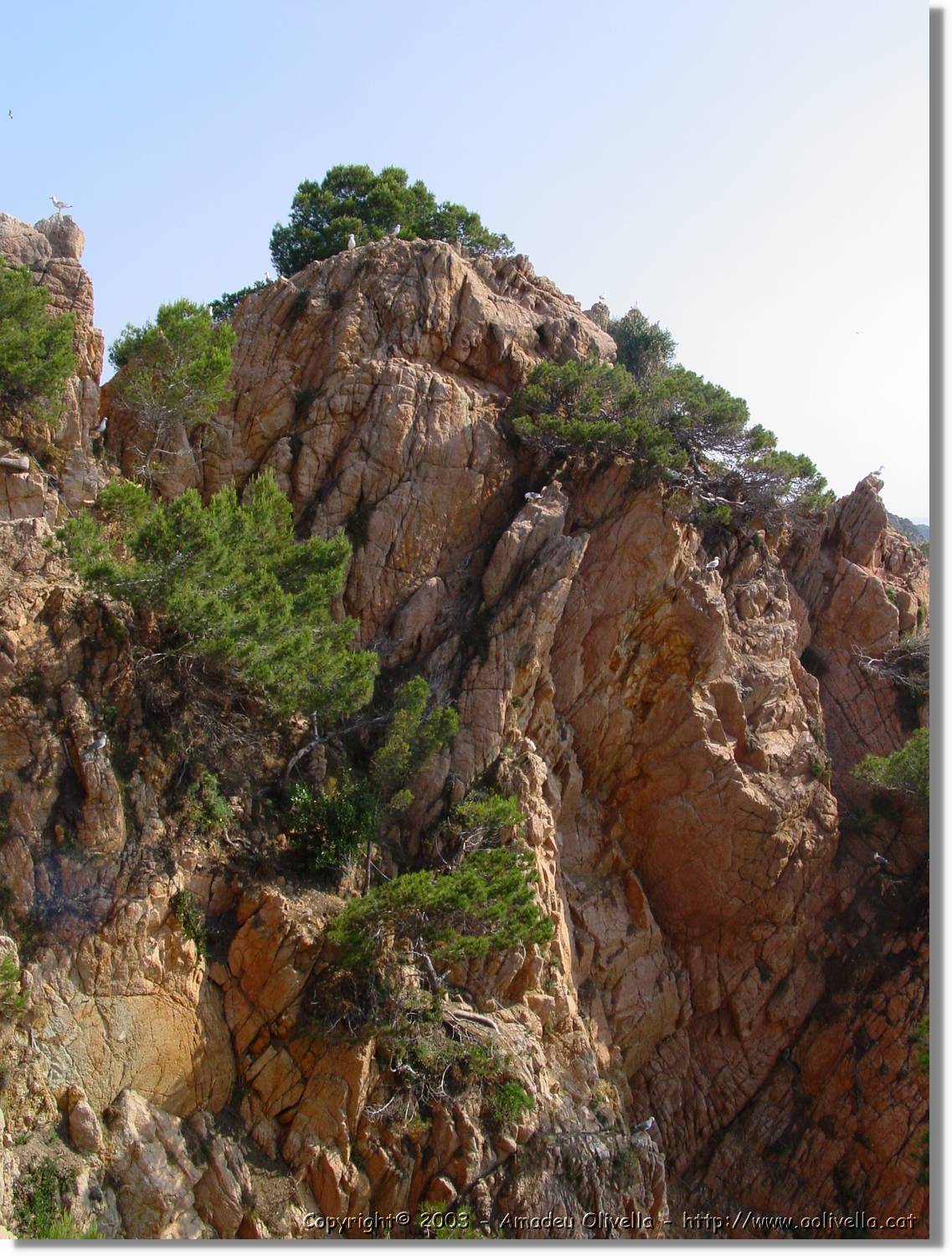 cala_008.jpg