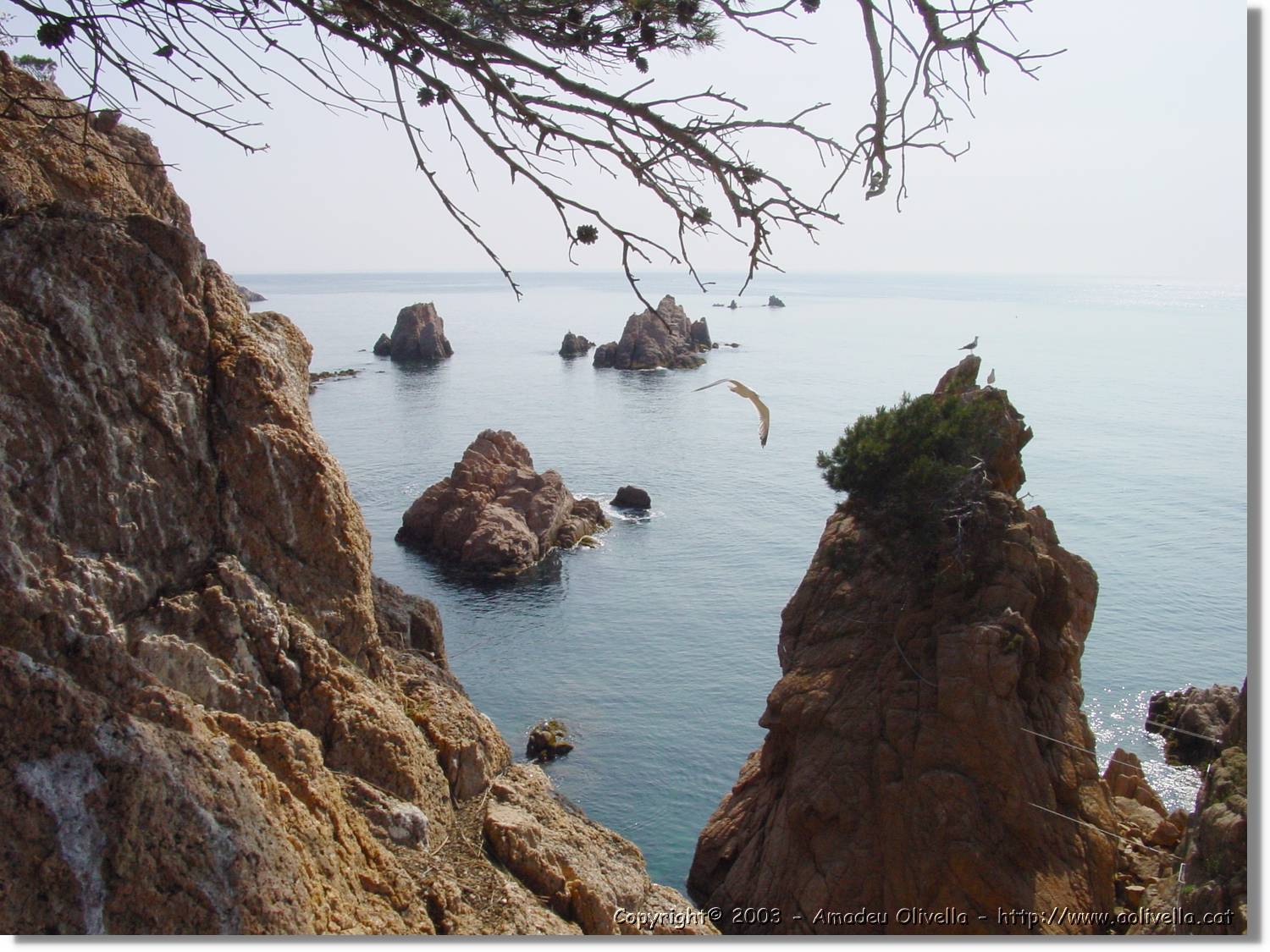 cala_012.jpg