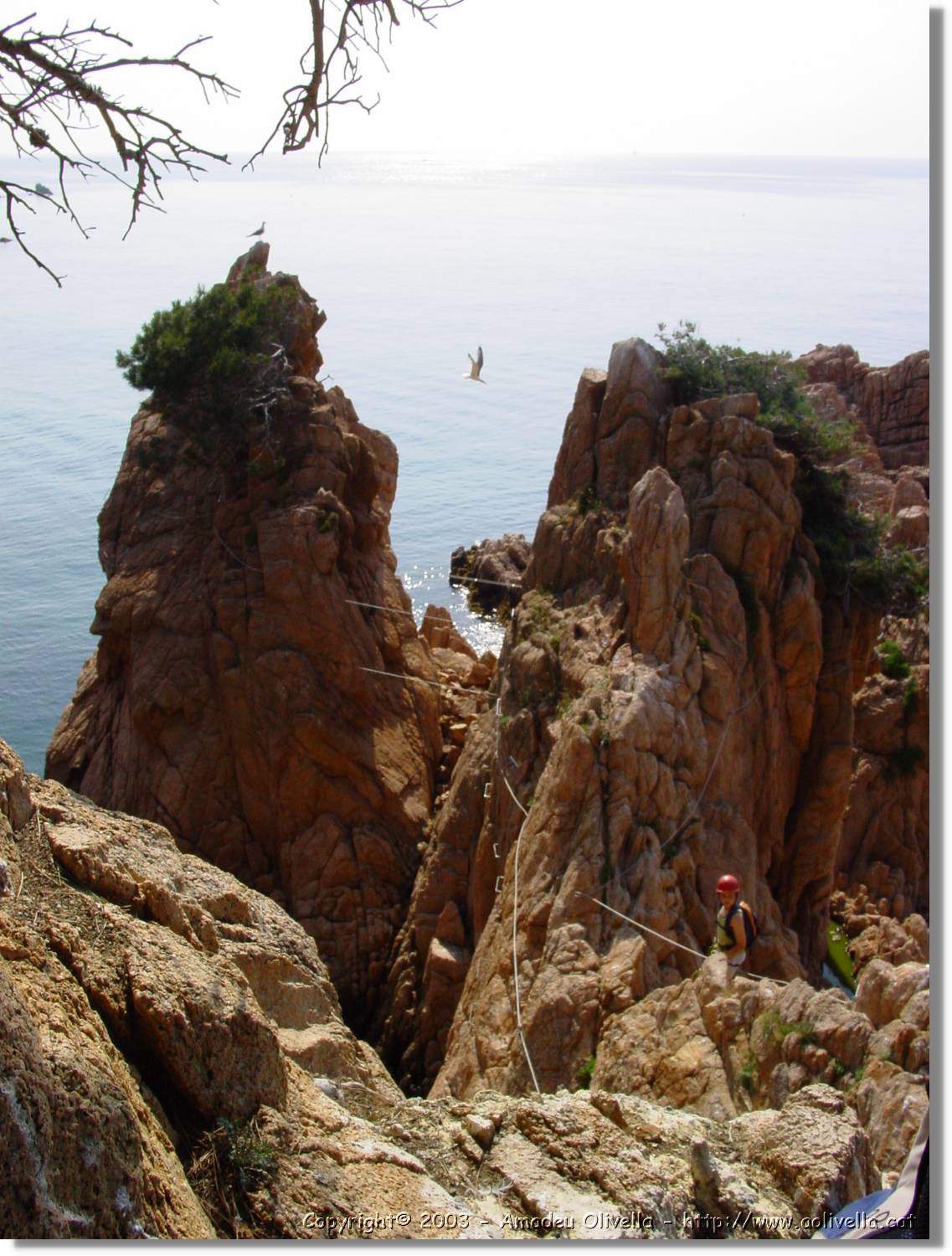 cala_013.jpg