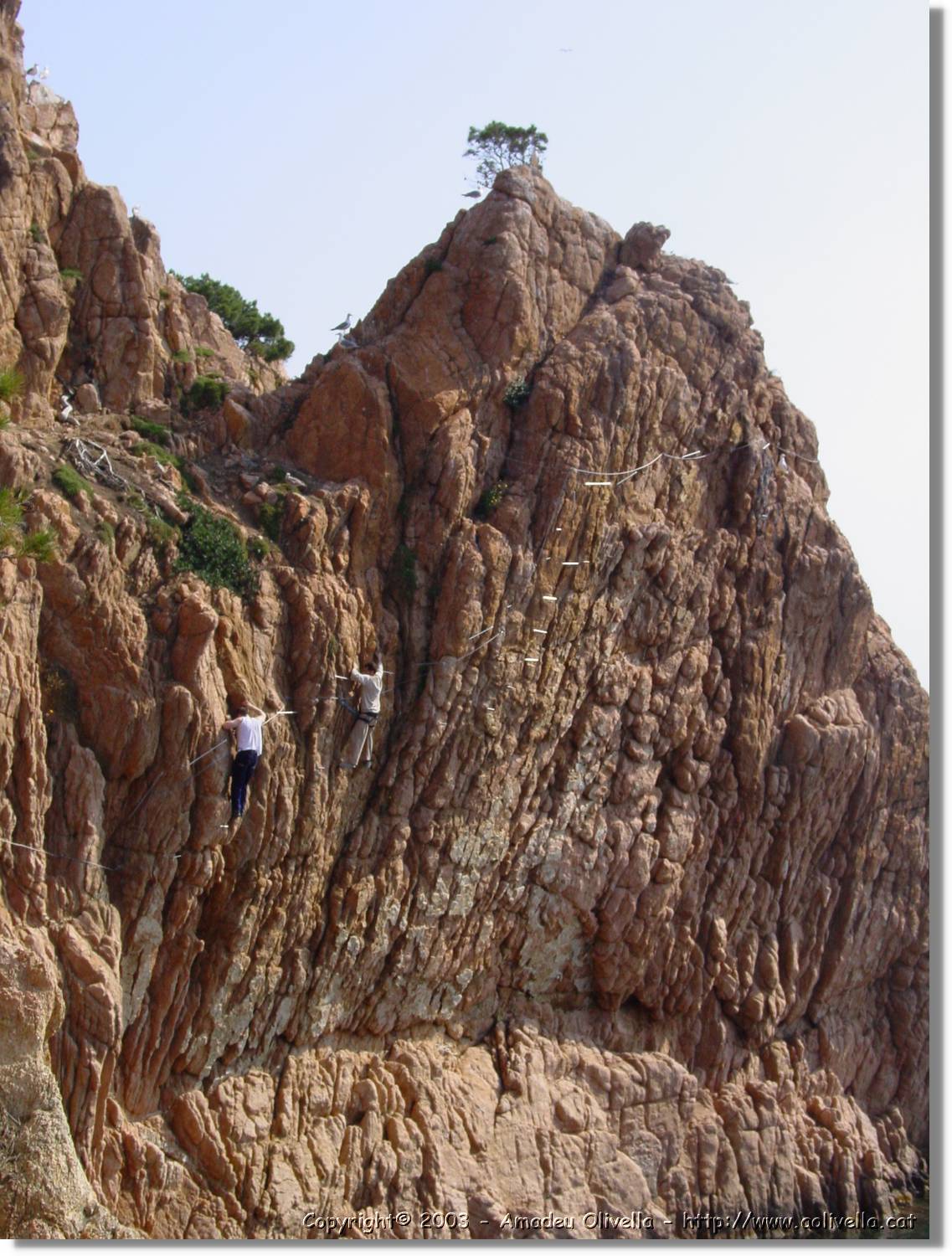 cala_014.jpg