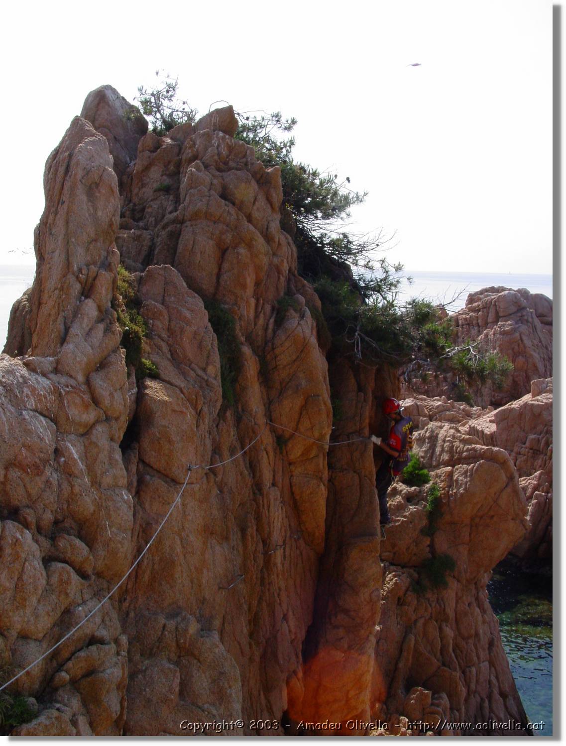 cala_017.jpg
