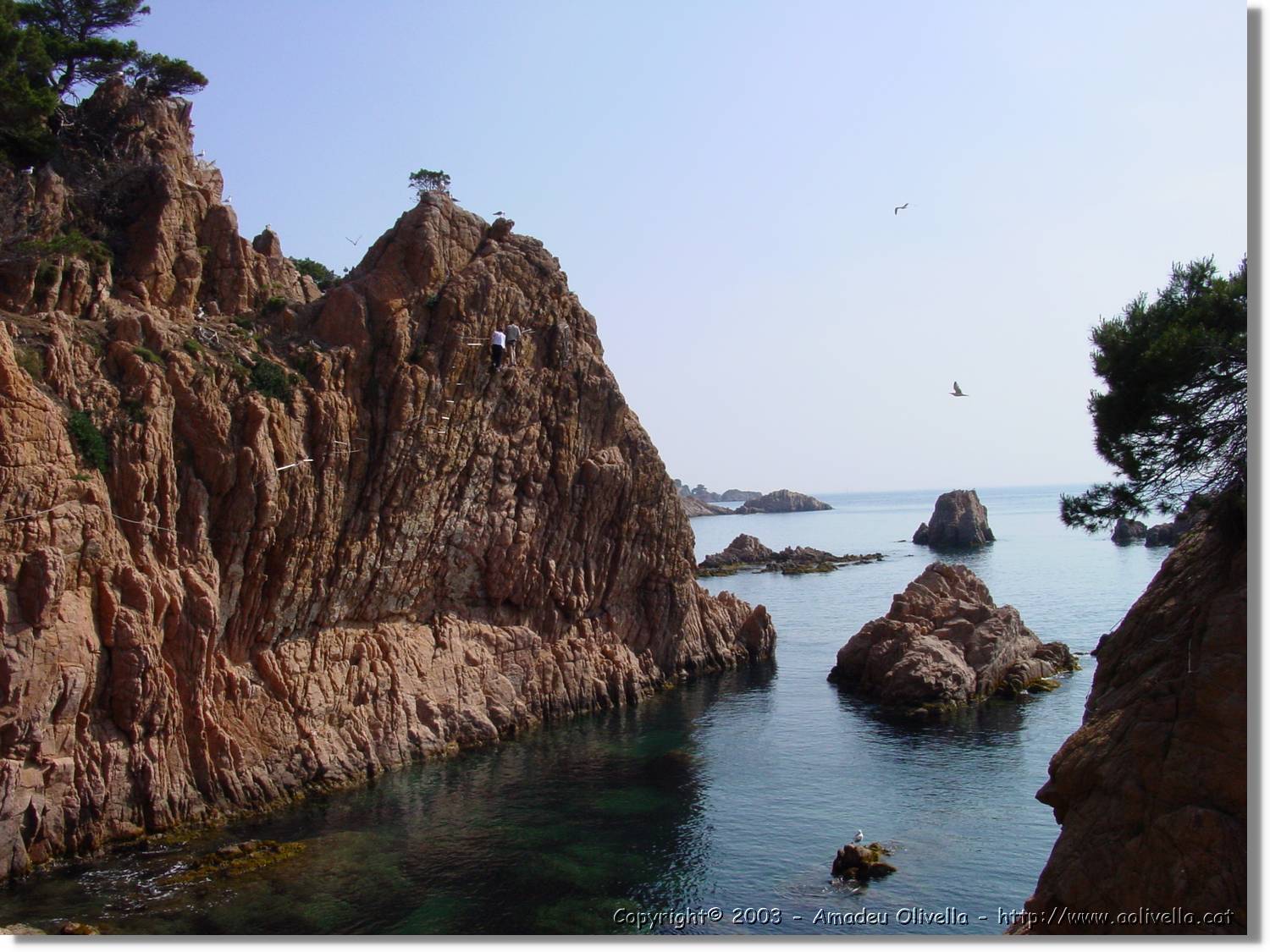 cala_018.jpg