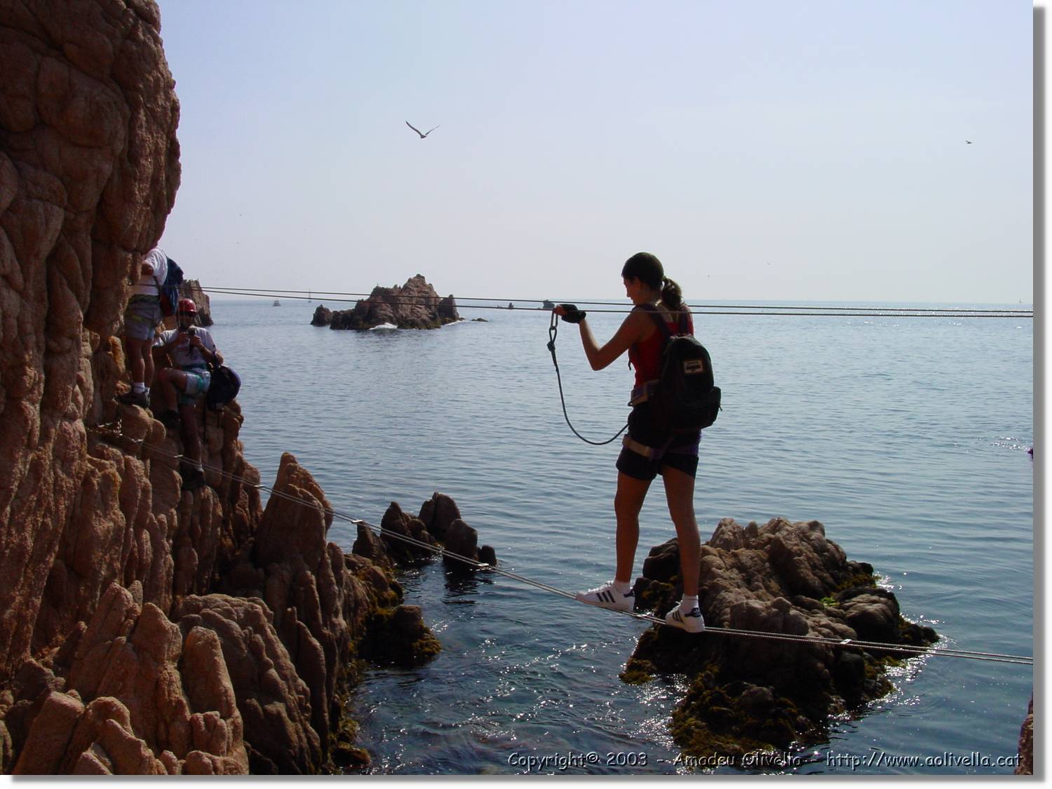 cala_021.jpg