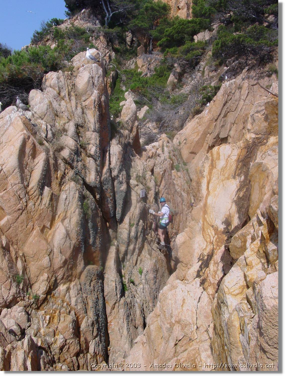 cala_027.jpg