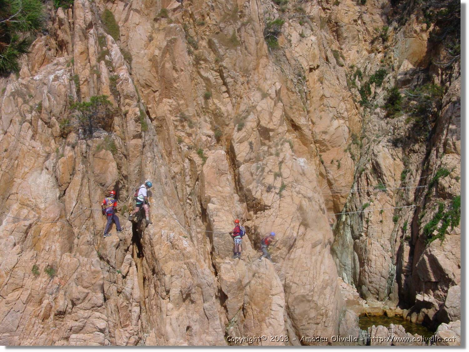 cala_029.jpg