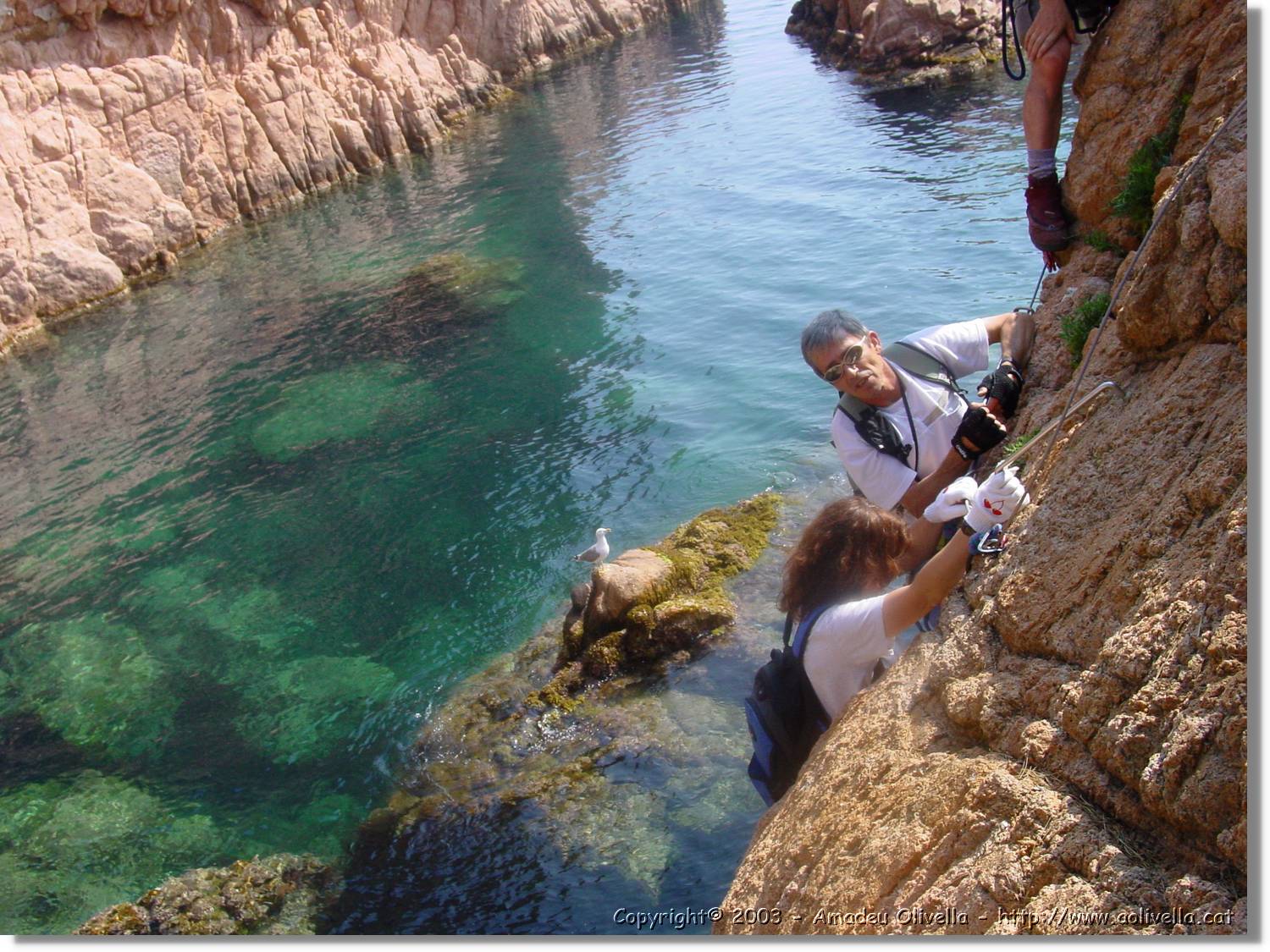 cala_032.jpg