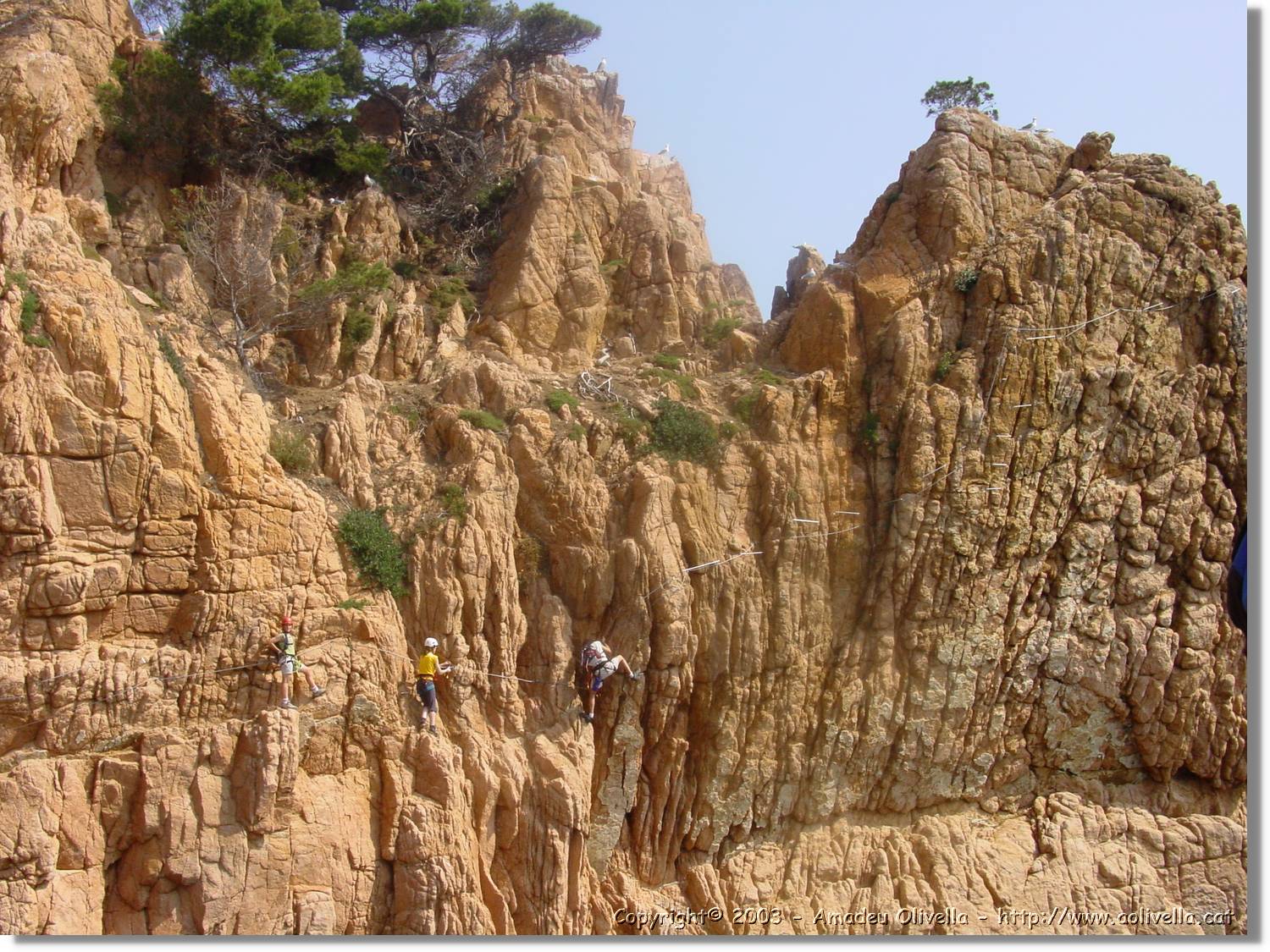 cala_033.jpg