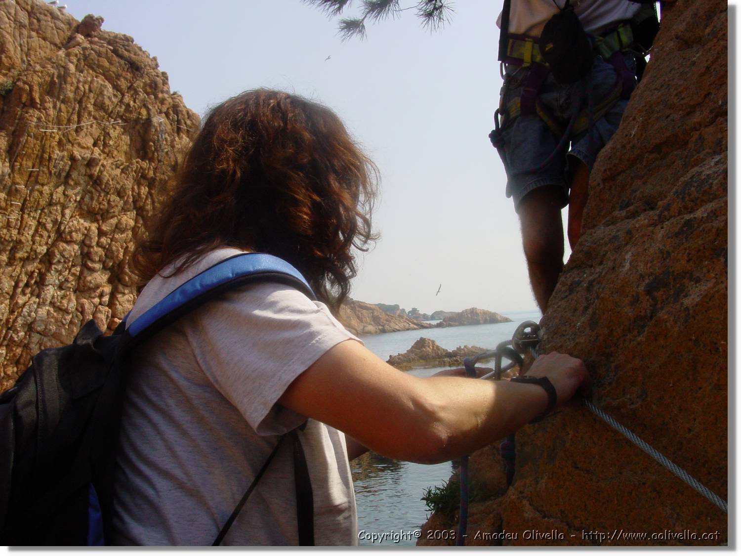 cala_034.jpg