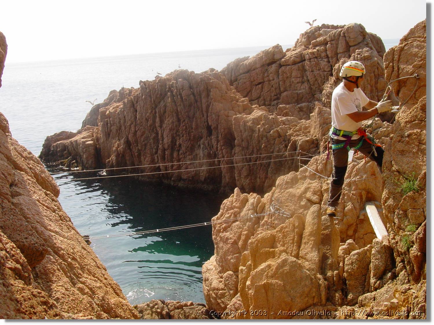 cala_035.jpg