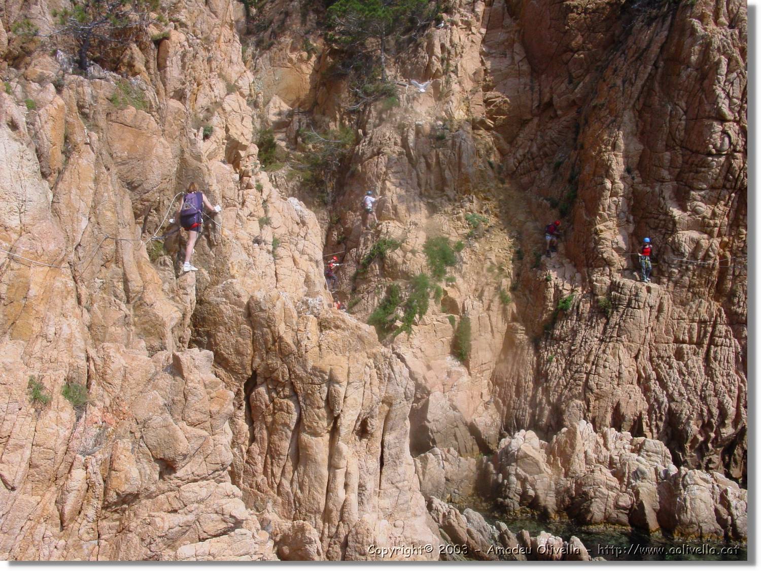 cala_036.jpg