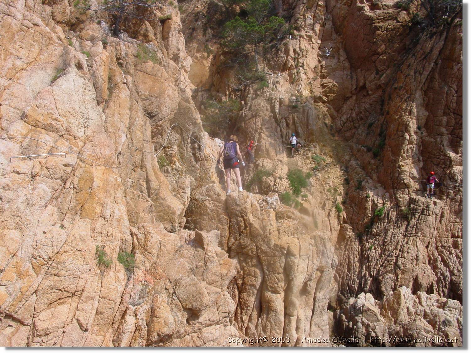 cala_039.jpg
