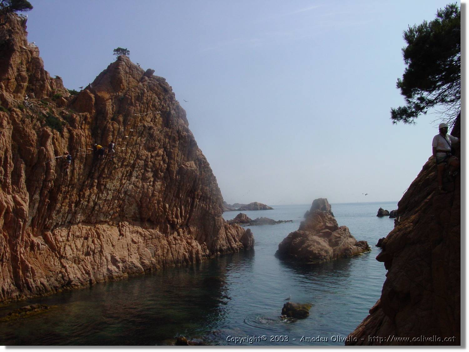 cala_041.jpg