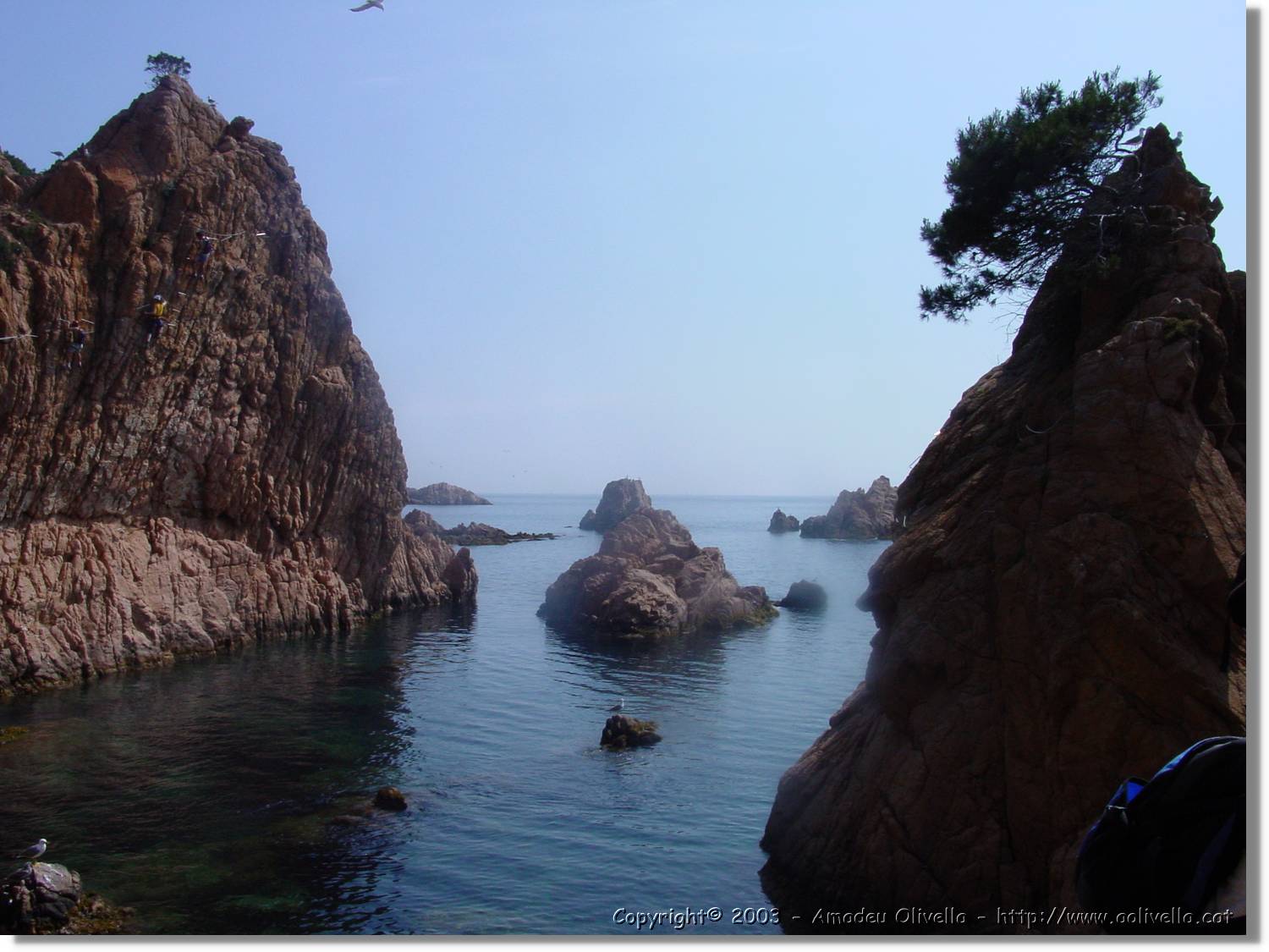 cala_042.jpg