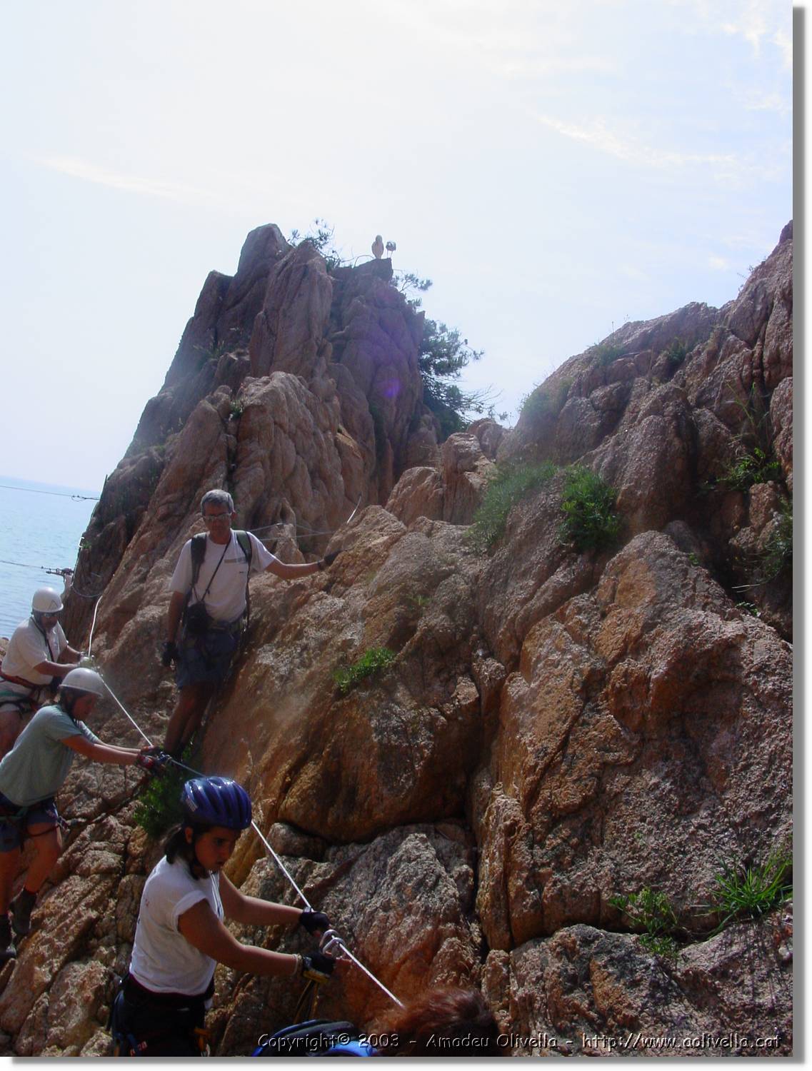 cala_043.jpg