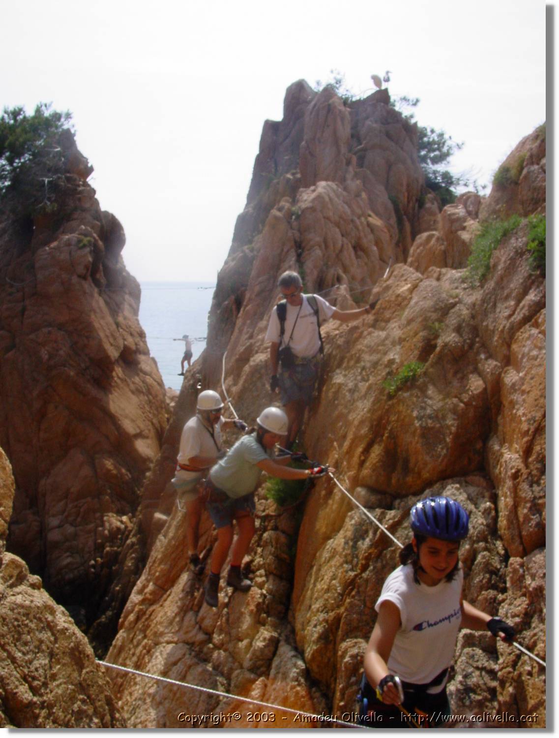 cala_044.jpg